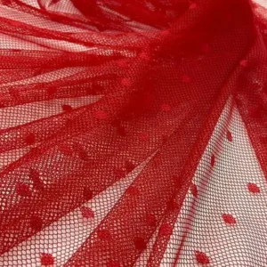 Scarlet Radiance Saree
